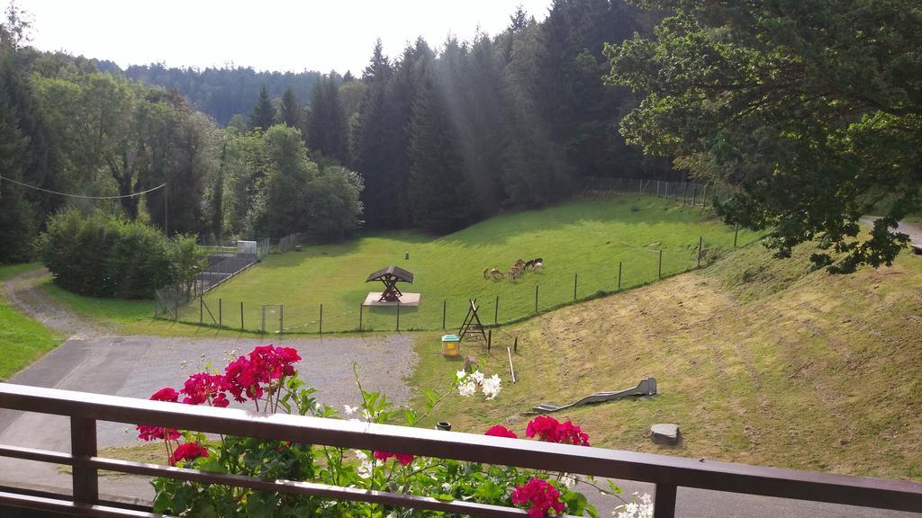 Hotel-restaurant Jaegerhof 3* Unterreichenbach